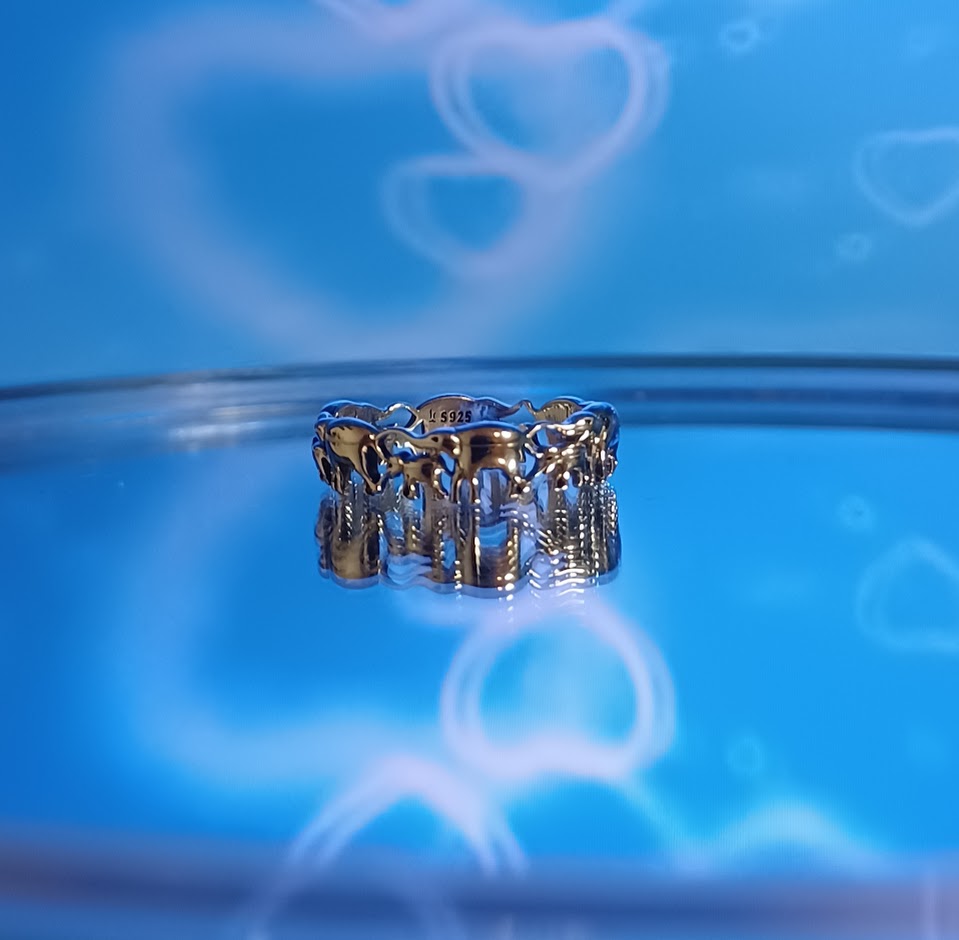 Elevera Ring