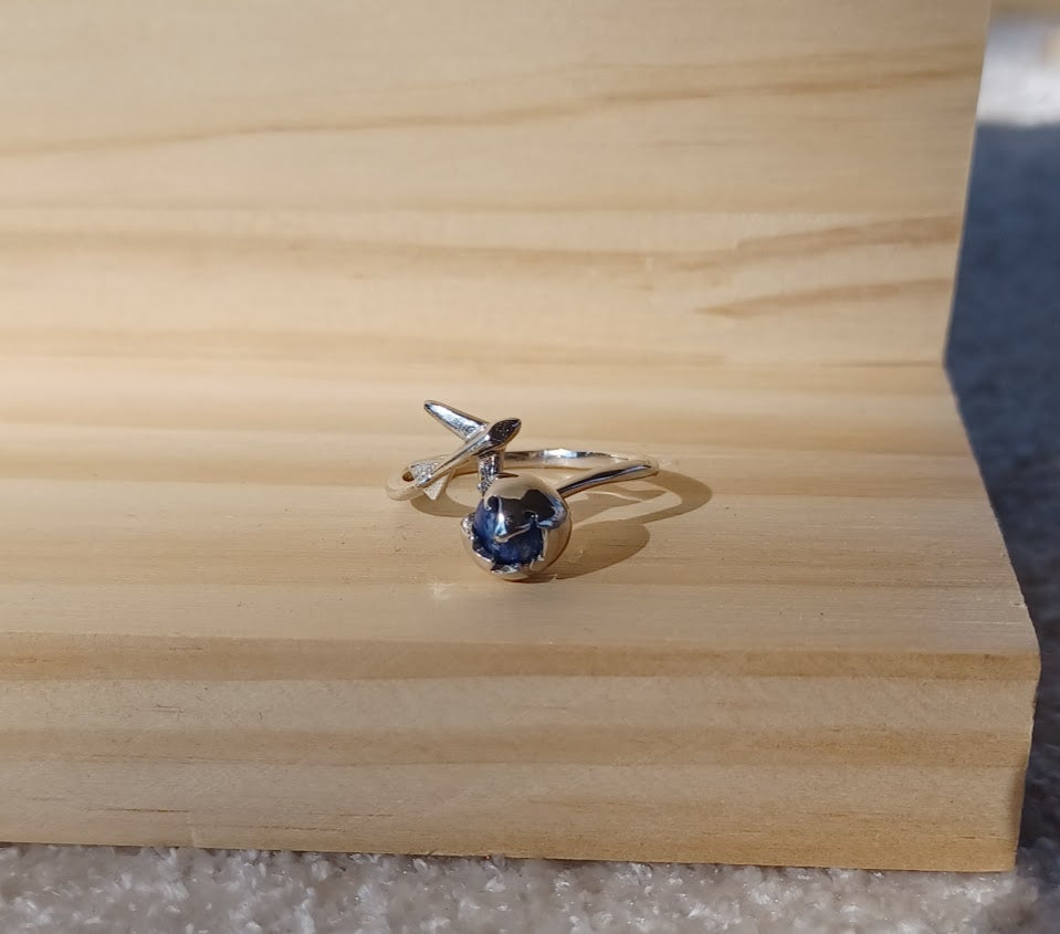 World Traveler Silver Adjustable Fit Ring