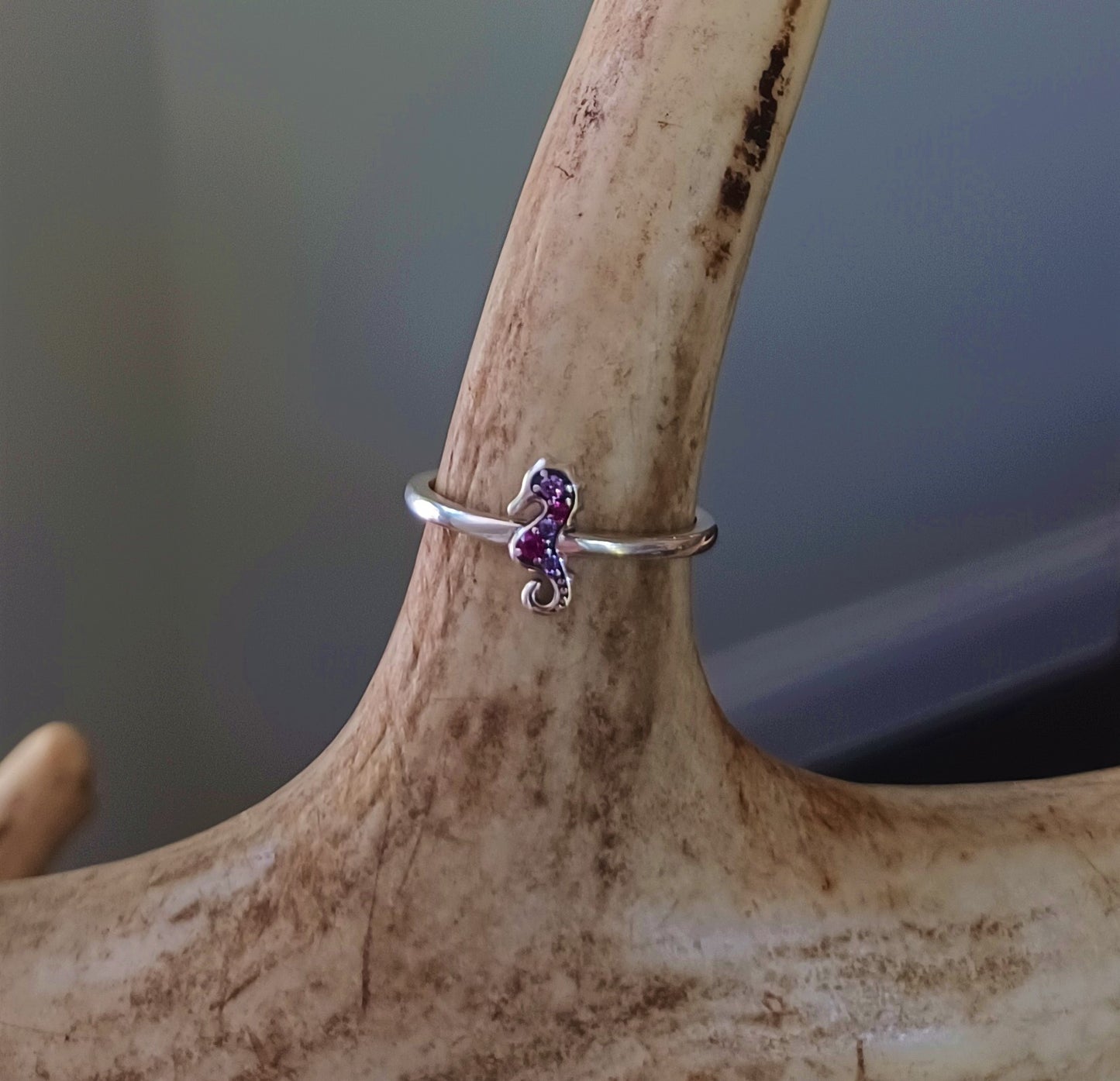 Cavalluccio Viola Ring
