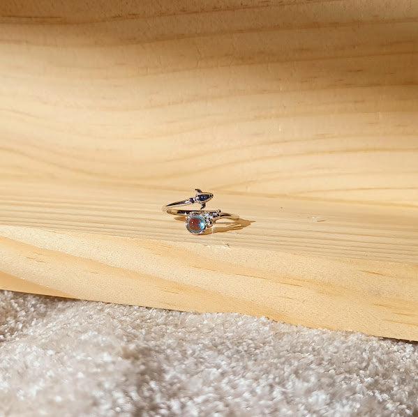Caelum Voyage Ring