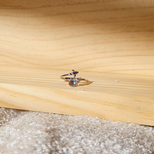 Caelum Voyage Ring